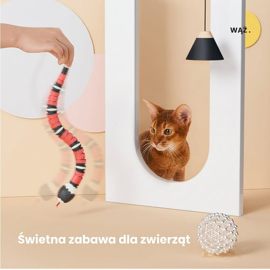 Interaktywna Zabawka dla Kota Wąż – Reagująca na Ruch, Ładowanie USB 4