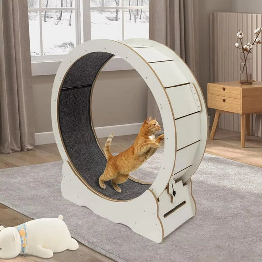Koło do Ćwiczeń dla Kota 81 cm – Amortyzowana Powierzchnia, Ciche Rolki 3