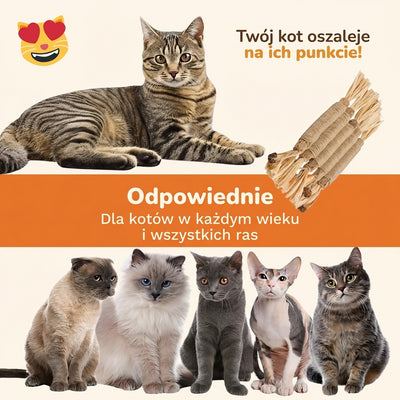 harpe™ naturalne patyczki dentystyczne z matatabi