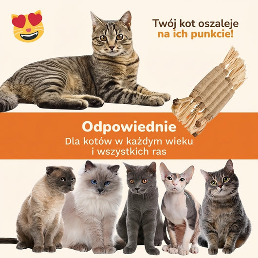 harpe™ naturalne patyczki dentystyczne z matatabi