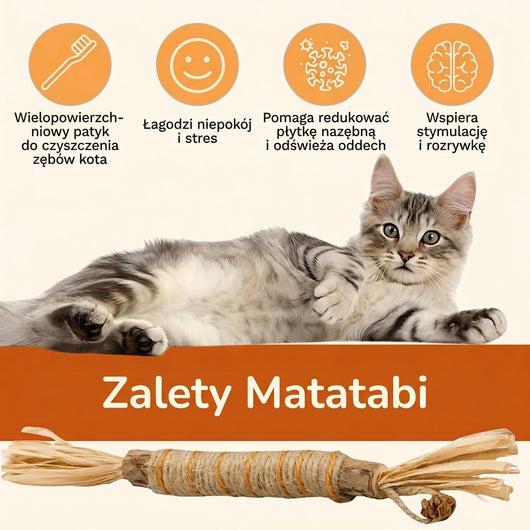 harpe™ naturalne patyczki dentystyczne z matatabi