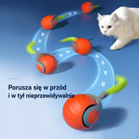 Pomarańczowy