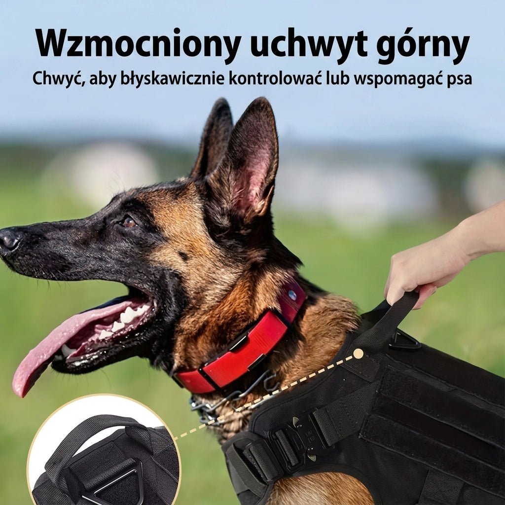 Szelki dla Psa Regulowane z Systemem Molle
