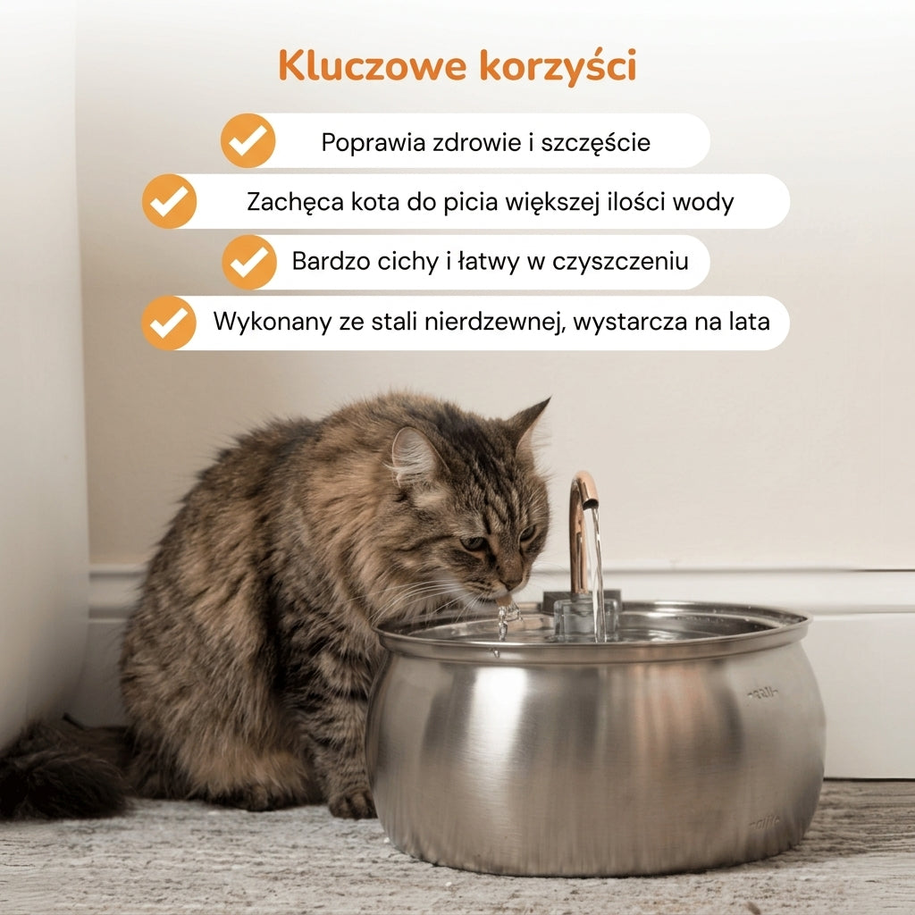 Fontanna dla Kotów ze Stali Nierdzewnej z Wielostopniowym Filtrem