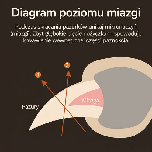 Obcinacz do Paznokci dla Kotów z LED