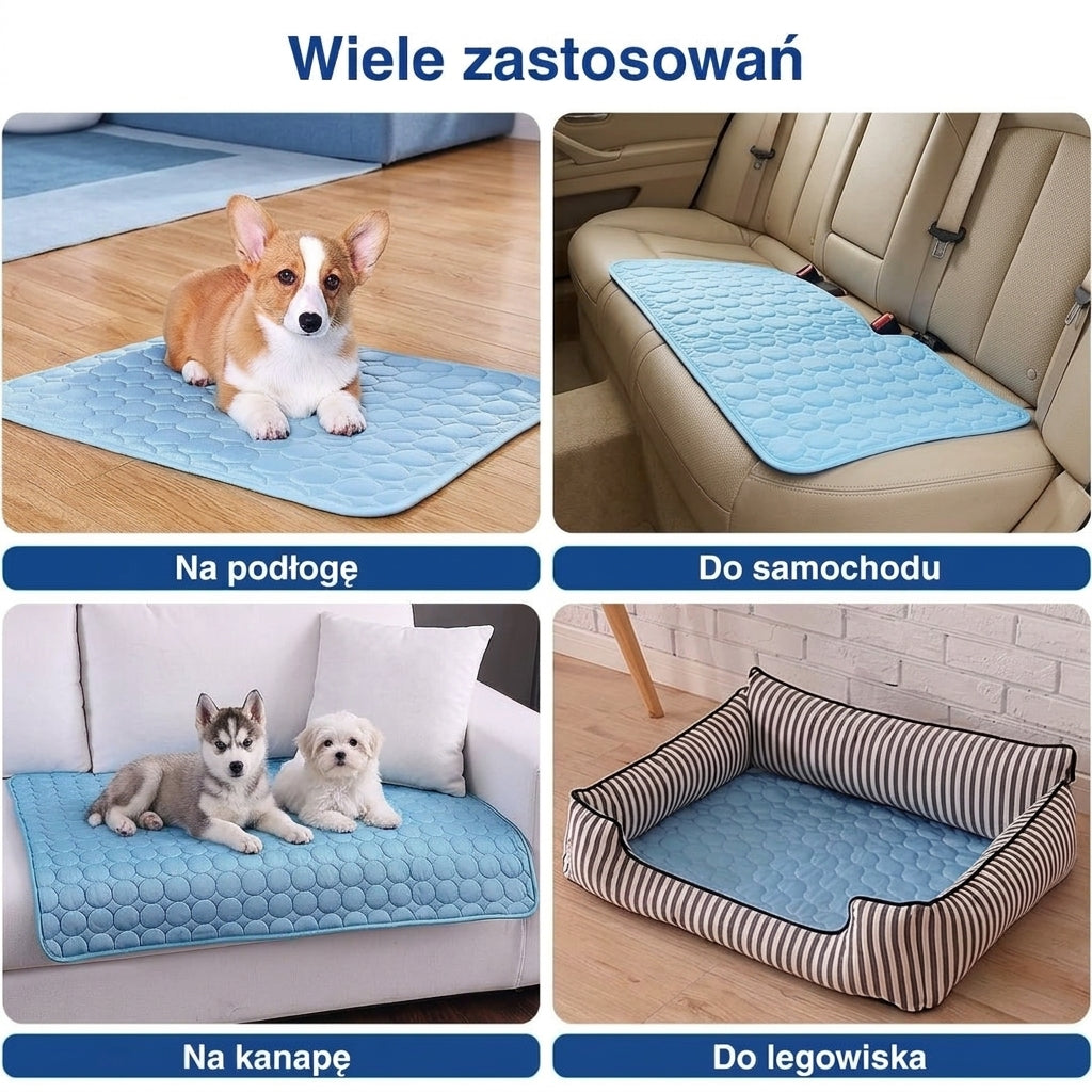 Mata Chłodząca dla Psa z Aktywnym Chłodzeniem